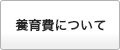 養育費について