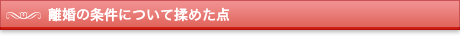 離婚の条件について揉めた点